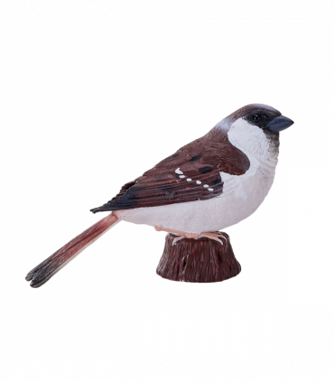 House Sparrow Bird Toy  Realistic Wildlife Figurine