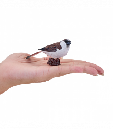 House Sparrow Bird Toy  Realistic Wildlife Figurine