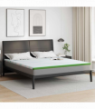 vidaXL Mattress Pads White and Green 200 x 200 cm
