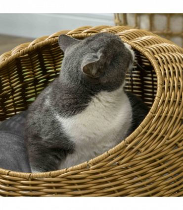 PawHut Wicker Cat House with Washable Cushion for Indoor Cats, Light Brown