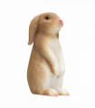 Rabbit Sitting Toy  Realistic Small Animal Figurine