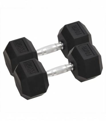 Dumbbells 2 pcs 20 kg Cast Iron