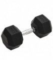 vidaXL Dumbbell 20 kg Cast Iron