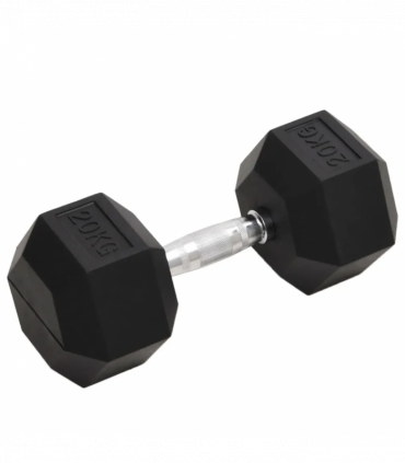 vidaXL Dumbbell 20 kg Cast Iron