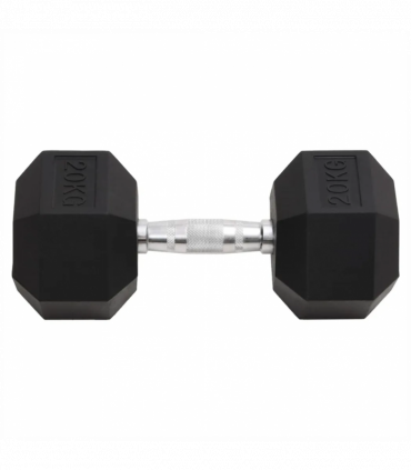 vidaXL Dumbbell 20 kg Cast Iron