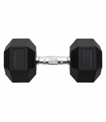 vidaXL Dumbbell 20 kg Cast Iron