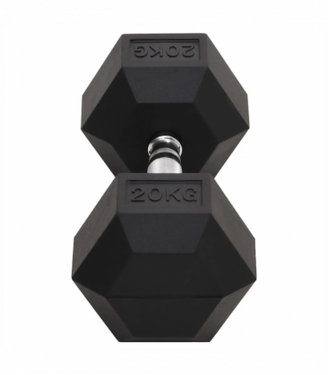 vidaXL Dumbbell 20 kg Cast Iron