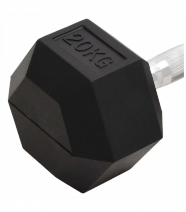 vidaXL Dumbbell 20 kg Cast Iron