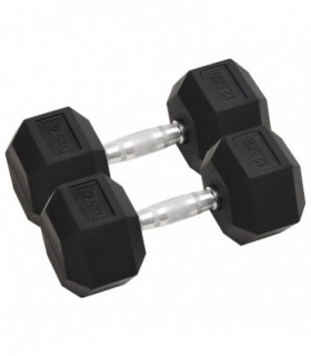 Dumbbells 2 pcs 25 kg Cast Iron