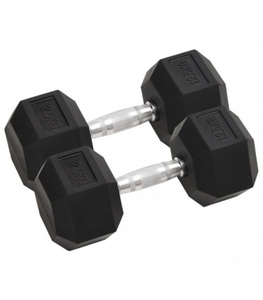 Dumbbells 2 pcs 25 kg Cast Iron
