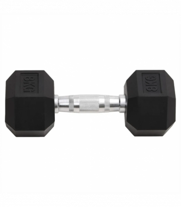 vidaXL Dumbbells 2 pcs 16 kg Cast Iron