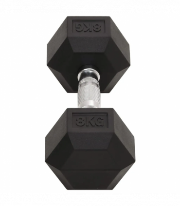 vidaXL Dumbbells 2 pcs 16 kg Cast Iron