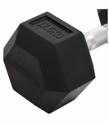 vidaXL Dumbbell 17.5 kg Cast Iron