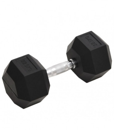 vidaXL Dumbbell 22.5 kg Cast Iron
