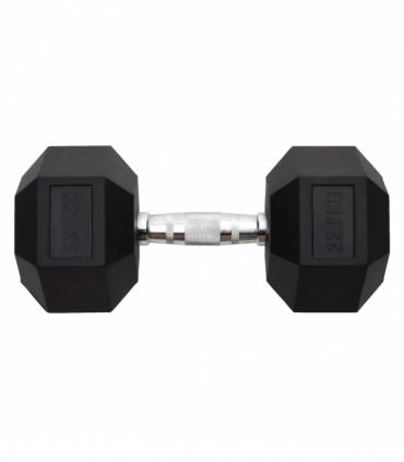 vidaXL Dumbbell 22.5 kg Cast Iron