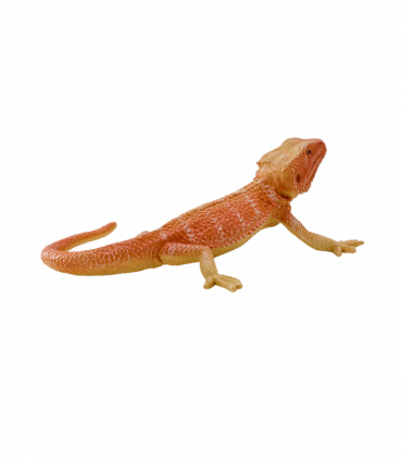 Bearded Dragon Toy  Realistic Reptile Model