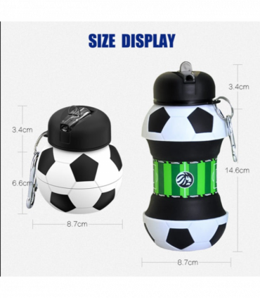 Lionstrike Sports Water Bottle, 550ml