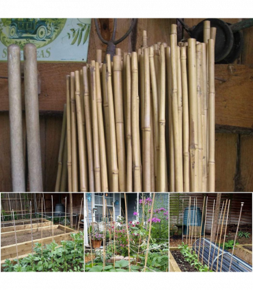 Garden Canes 10 x 5ft Natural Bamboo Color Eco-Friendly Shade Privacy Decoration