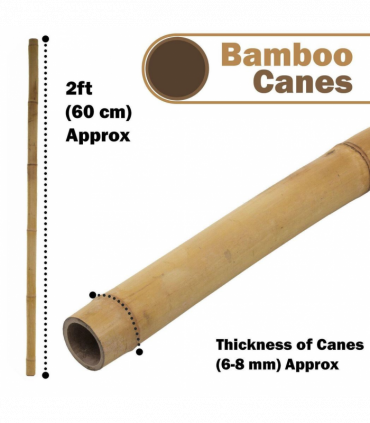 Garden Canes 10 x 5ft Natural Bamboo Color Eco-Friendly Shade Privacy Decoration