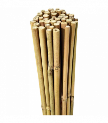 Garden Canes 10 x 5ft Natural Bamboo Color Eco-Friendly Shade Privacy Decoration
