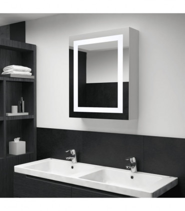 LED Bathroom Mirror Cabinet 50x13x70 cm