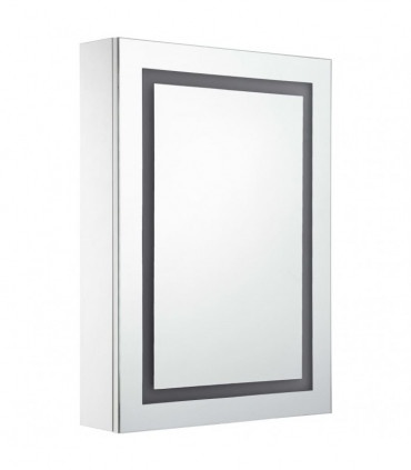 LED Bathroom Mirror Cabinet 50x13x70 cm