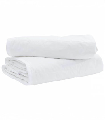 vidaXL Duvet Set with Pillow 2 pcs White 135 x 220 cm Down