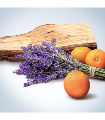 Calvin Klein Obsession for Men Eau De Toilette Spray 75ml