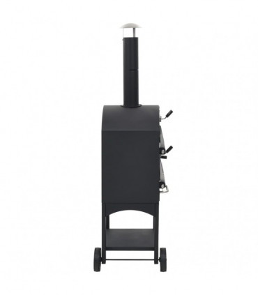 Charcoal Fired Outdoor Pizza Oven with Fireclay Stone