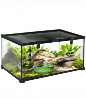 Glass Reptile Terrarium