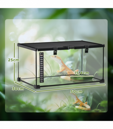 Glass Reptile Terrarium