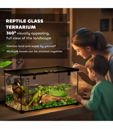 Glass Reptile Terrarium