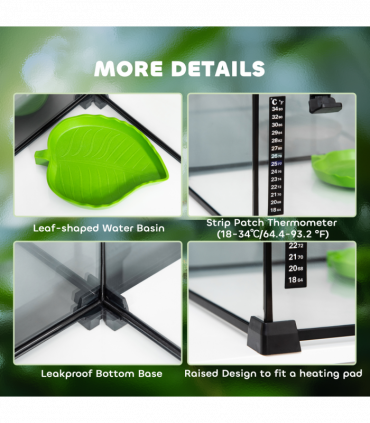 Glass Reptile Terrarium