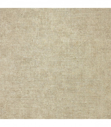 Luxury Plain Champagne sw6