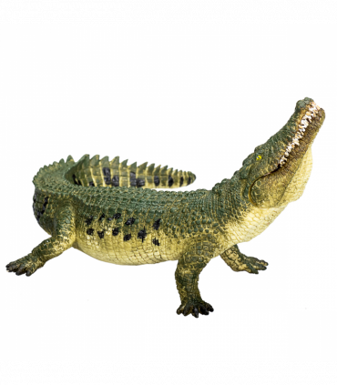 Crocodile with Articulated Jaw  Realistic Reptile Model