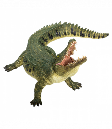 Crocodile with Articulated Jaw  Realistic Reptile Model