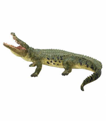 Crocodile with Articulated Jaw  Realistic Reptile Model