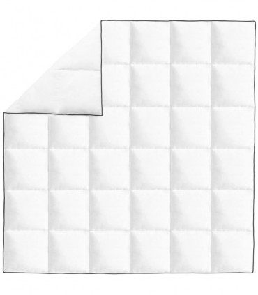 Winter Down Duvet 200x200 cm