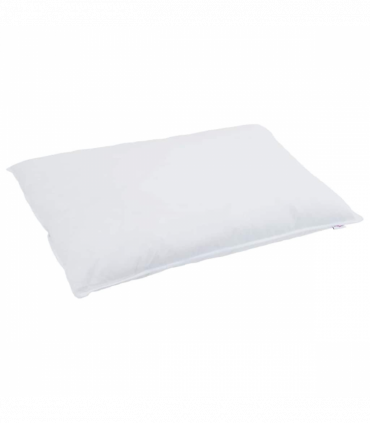 vidaXL Duvet Other with Pillow 2 pcs White 135 x 220 cm Down