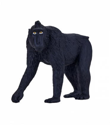 Black Crested Macaque Toy  Realistic Primate Figurine