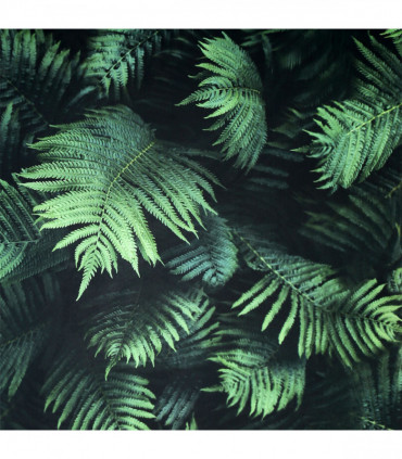 Fern Wall Green sw12