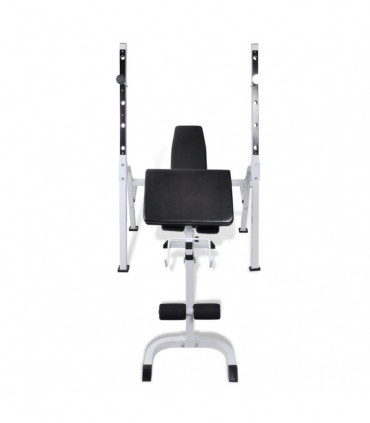 Multi-exercise Workout Bench