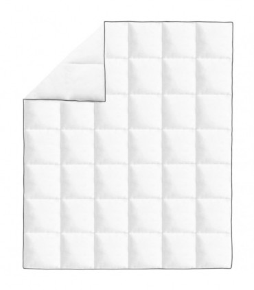 Winter Down Duvet 200x220 cm