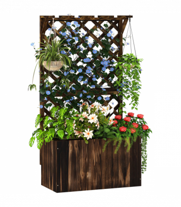 Anemone hybrida Honorine Jobert 9cm - 2L