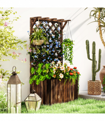 Anemone hybrida Honorine Jobert 9cm - 2L