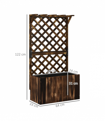 Anemone hybrida Honorine Jobert 9cm - 2L