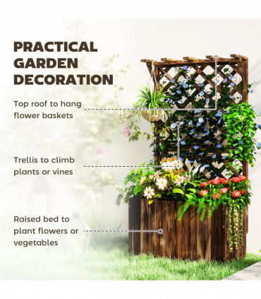 Anemone hybrida Honorine Jobert 9cm - 2L