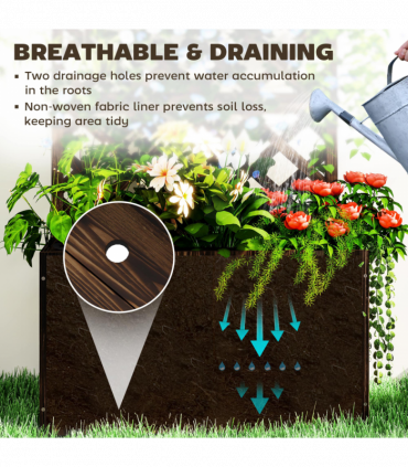 Anemone hybrida Honorine Jobert 9cm - 2L