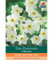 Dwarf Daffodil 'Lieke' (5 Bulbs)