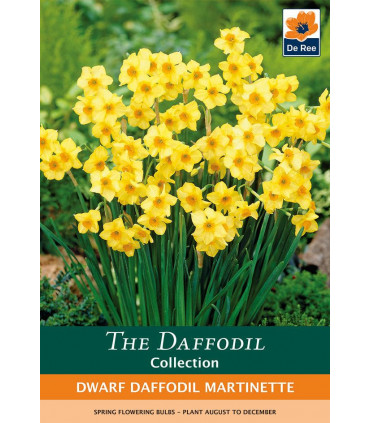Dwarf Daffodil 'Martinette' (8 Bulbs)